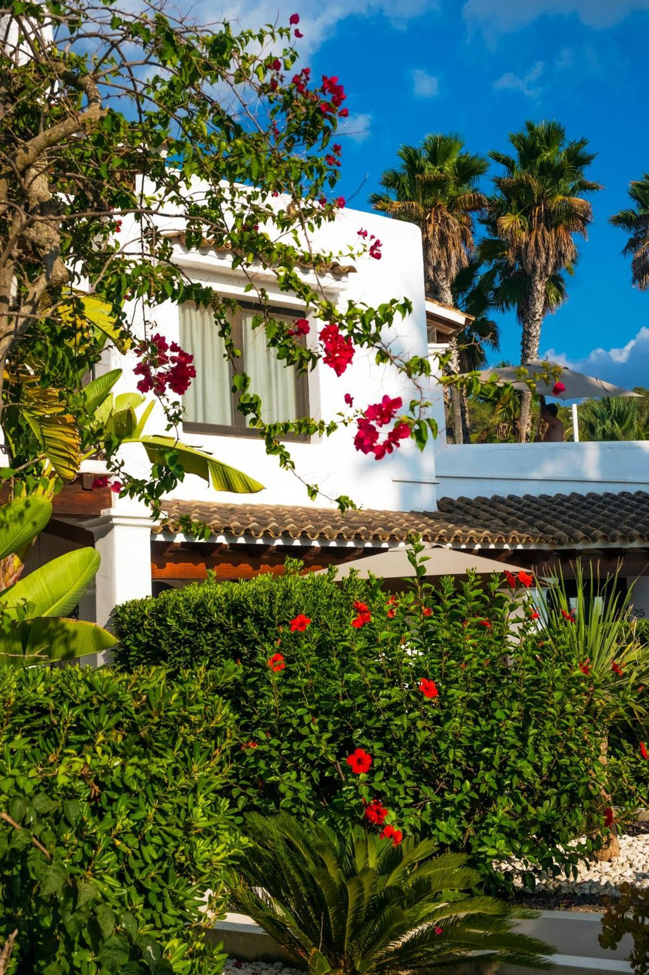 Casa Munich San José